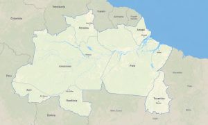 Brazil North Garmin topographic map