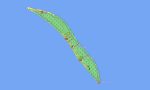 Kiribati Garmin topographic map - Image 3