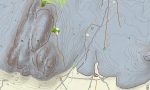 Mali Garmin topographic map - Image 4