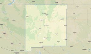 New Mexico Garmin topographic map