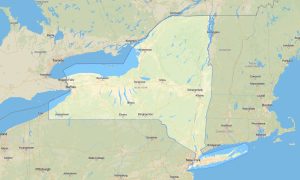 New York Garmin topographic map