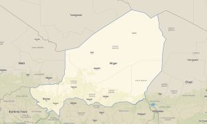 Niger Garmin topographic map