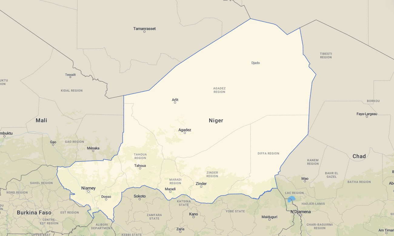 niger Niger Garmin topographic map - Image 1