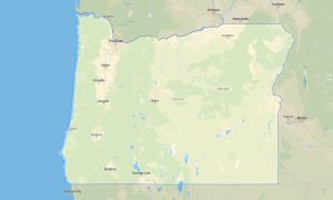 Oregon Garmin topographic map