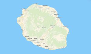 Reunion Garmin topographic map