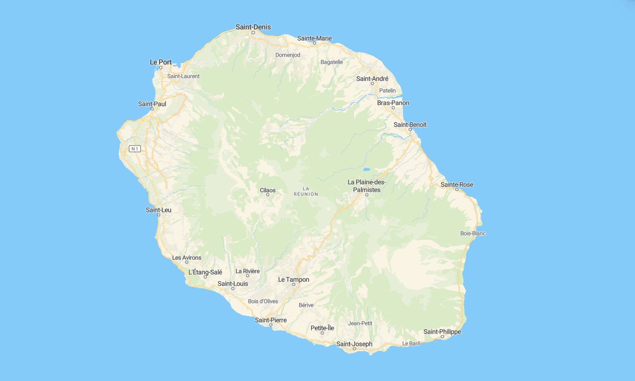 reunion Reunion Garmin topographic map - Image 1