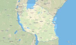 Tanzania Garmin topographic map