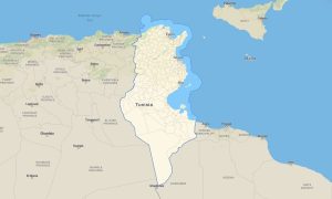 Tunisia Garmin topographic map