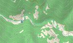 Georgia Garmin topographic map - Image 3