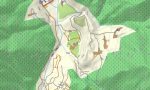 Tibet Garmin topographic map - Image 6